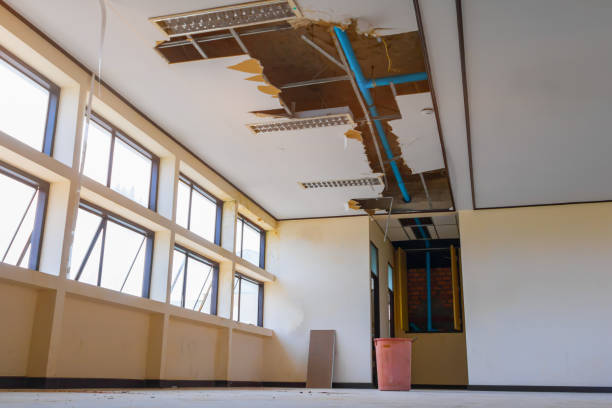 Best Emergency water damage restoration  in Mishawaka, IN