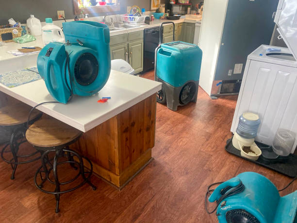 Best Ceiling water damage repair  in Mishawaka, IN