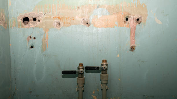 Best Water damage restoration near me  in Mishawaka, IN