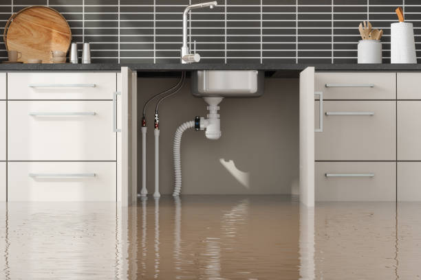 Best Flood damage cleanup  in Mishawaka, IN